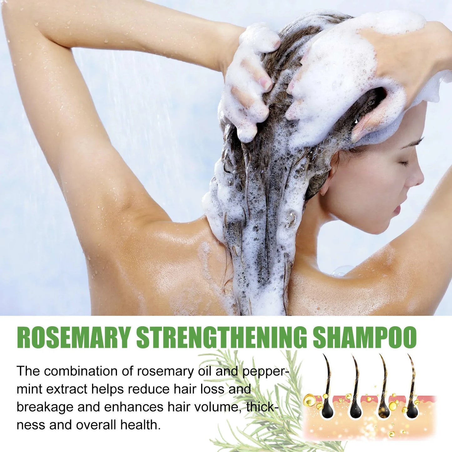 Rosemary Shampoo Hair Regrowth Deep Cleansing Scalp Treatment Oil Control Strengthening Hair Roots Anti Hair Loss Shampoo 100ml